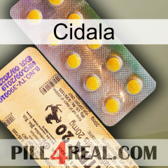 Cidala new06